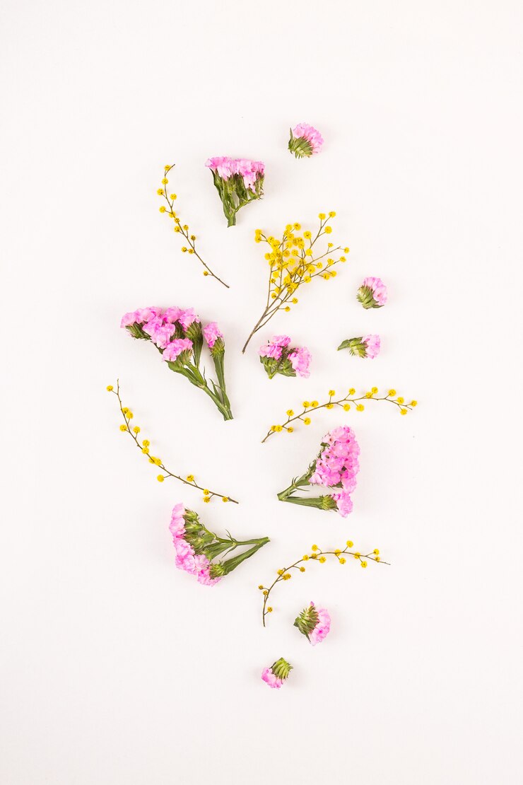 Bloemen op een witte achtergrond - hallo lente en hallo zomer