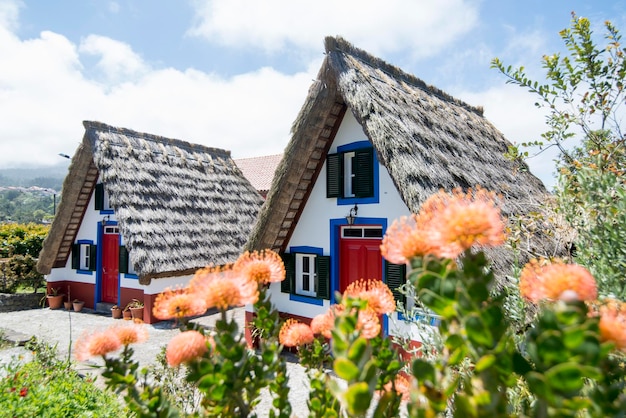 Foto bloemen op het dak tegen de lucht.