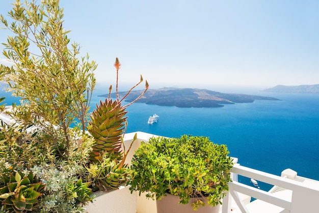 Bloemen op het terras met uitzicht op de zee. Santorini-eiland, Griekenland.