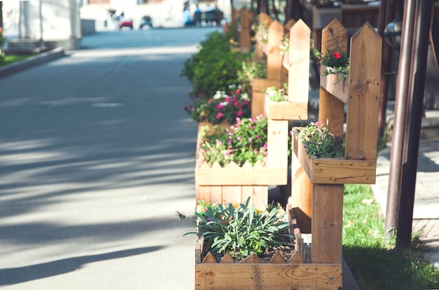 Bloemen op straat