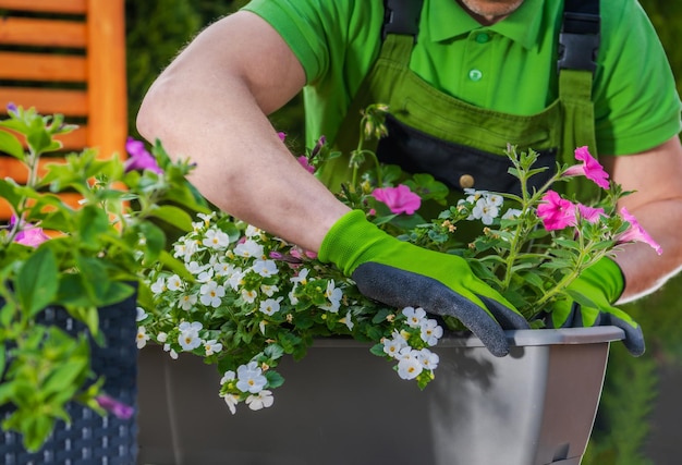 Bloemen planten door een professionele tuinier