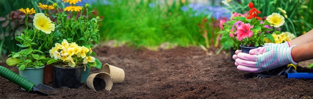 Bloemen planten in de tuin