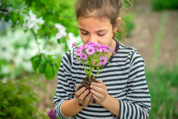 Bloemen planten in de tuin