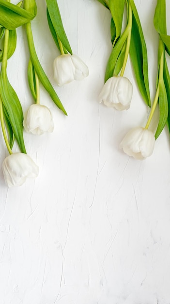 Bloemen samenstelling delicate tulp bloemen op witte achtergrond valentijnsdag moederdag concept