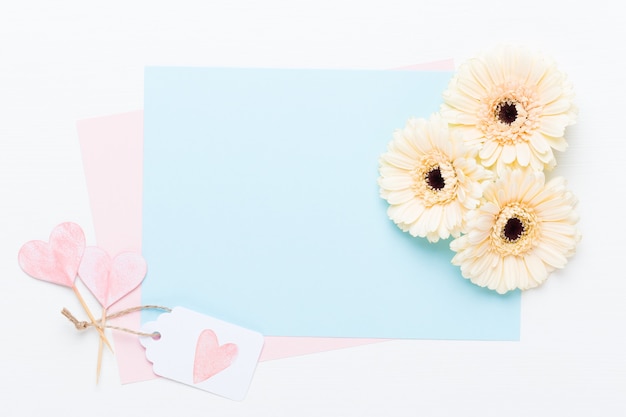 Bloemen samenstelling. Frame gemaakt van pastel gerbera op wit.