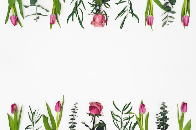 Foto bloemen samenstelling. frame gemaakt van roze bloemen en eucalyptustakken op witte achtergrond. valentijnsdag, moederdag, womens dag concept