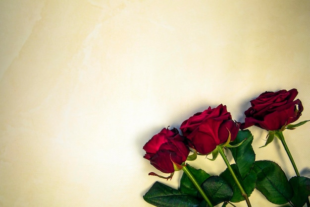 Bloemen samenstelling frame gemaakt van roze bloemen en rood hart op gele achtergrond Valentijnsdag