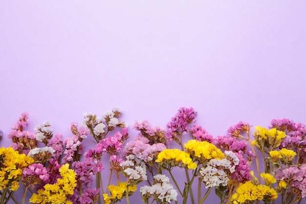 Bloemen samenstelling. Gypsophila bloemen. Lente, zomer concept. Plat lag, bovenaanzicht.