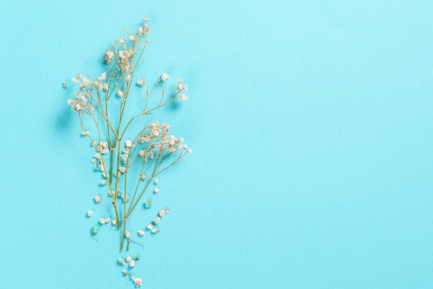 Bloemen samenstelling. Gypsophila-bloemen op pastelblauw. Plat lag, bovenaanzicht, copyspace