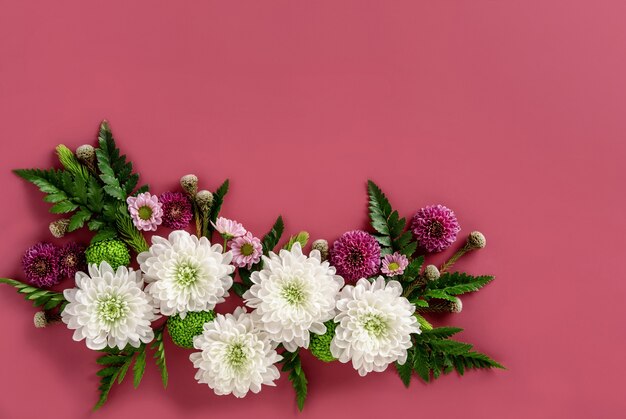 Bloemen samenstelling van kleurrijke bloemen chrysant geïsoleerd op roze achtergrond. Zomerkrans van chrysantenbloemen. Plat leggen.