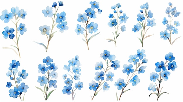Bloemen tak set Blauwe bloemen collectie met bladeren en bloemen han getekend olieverf waterverf Lente of zomer ontwerp voor uitnodiging bruiloft of groetekaartjes achtergrond illustratie