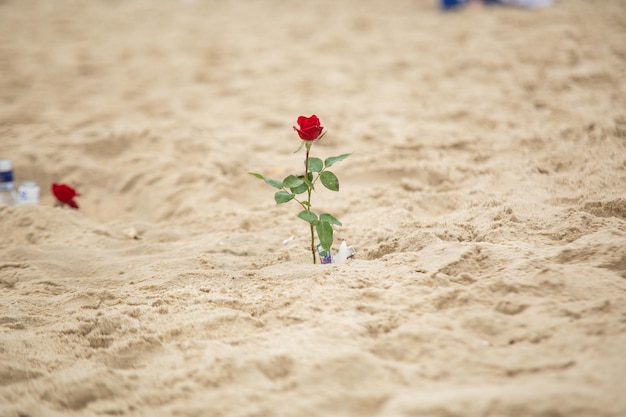 Bloemen ter ere van iemanja tijdens een feest op het strand van Copacabana in Brazilië