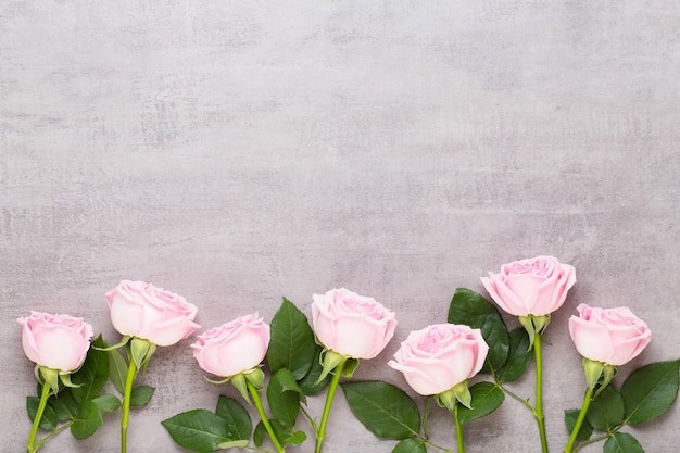 Bloemen valentijn dag samenstelling frame gemaakt van roze roos op grijze achtergrond plat lag bovenaanzicht kopie ruimte