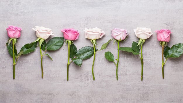 Bloemen valentijn dag samenstelling. frame gemaakt van roze roos op grijze achtergrond. plat leggen, bovenaanzicht, kopie ruimte.