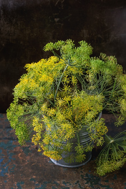 Bloemen van groene dille