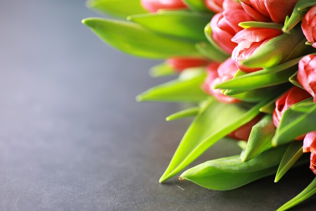 Bloemen, voorjaarsvakantie en woondecoratieconcept - Boeket van mooie tulpen, bloemenachtergrond