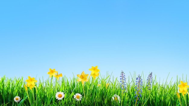 Bloemen