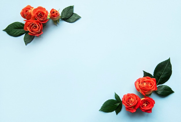 Bloemencompositie Frame gemaakt van rode rozen en bladeren op blauwe achtergrond