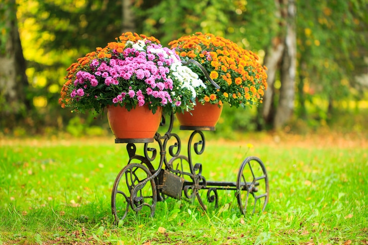 Foto bloemenmand op stam van een oude fiets provençaalse tuindecoratie bloemen bezorgen online bestellen...