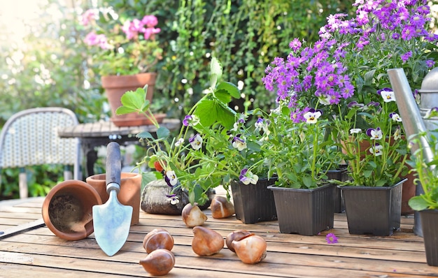 Bloemenpotten en bollen op een tuintafel in huisterras