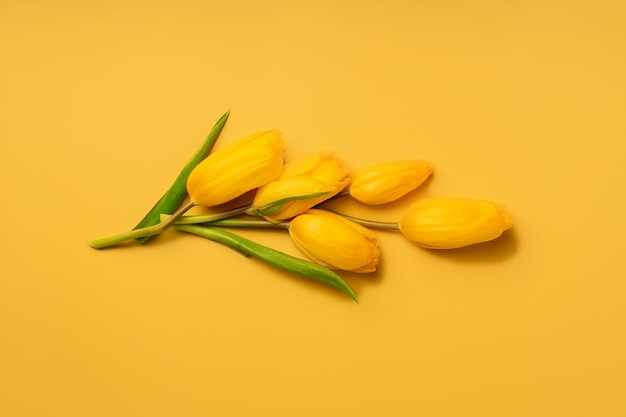 Bloemensamenstelling van gele tulpen op een gele achtergrond