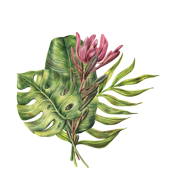 Bloemensamenstelling van palmbladen en proteabloem