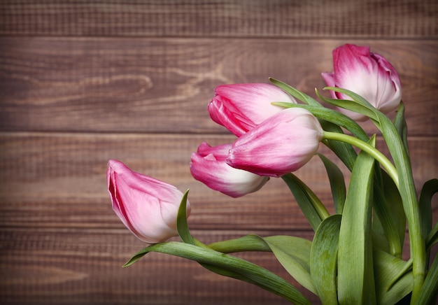 Bloementulpen op de achtergrond van houten muur