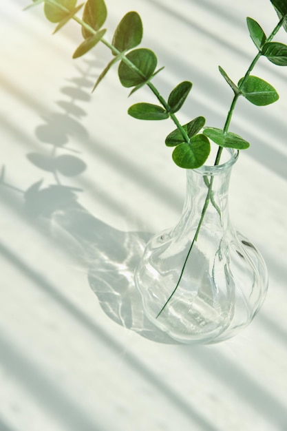 Bloemenvaas Glas reflecteren zonlicht schaduweffect Zomerstillevenscène Transparante glinsterende glazen water Warme lichte sfeer op zonnige dag