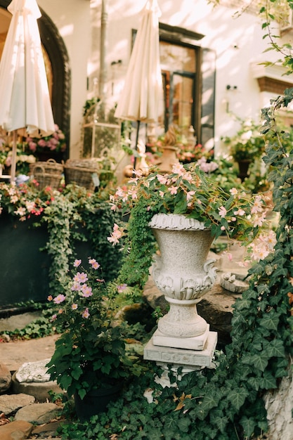 Bloemenwinkel met verse levende bloemen en boeketten