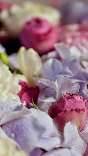 Bloemige natuurlijke achtergrond met blauwe gardenia roze roos witte chrysanthemum close-up verticaal