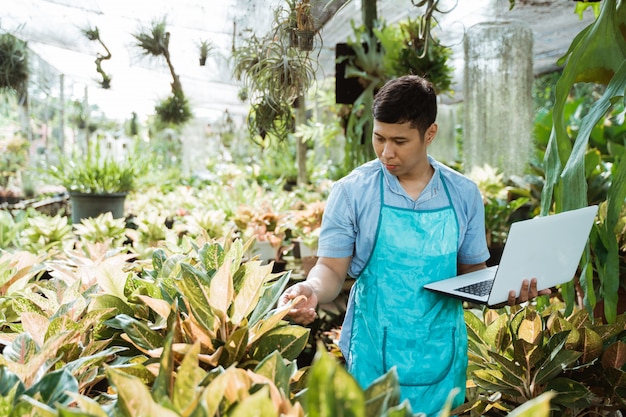 Bloemist inspecteert kwaliteit en groei van groene plant