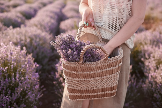 bloemist pluk bloemen in strozak. Vrouw lopen in lavendelvelden en vinden plaats voor een picknick