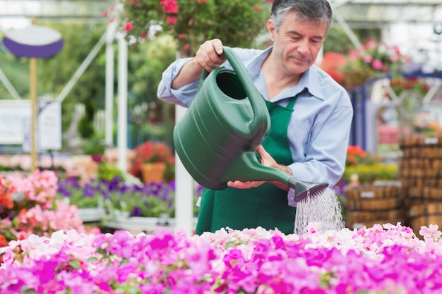 Bloemist water geven planten