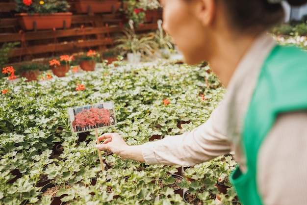 Bloemisten vrouw die in een kas werkt, zorgt voor potplanten en bloemen. Vrouw ondernemer.