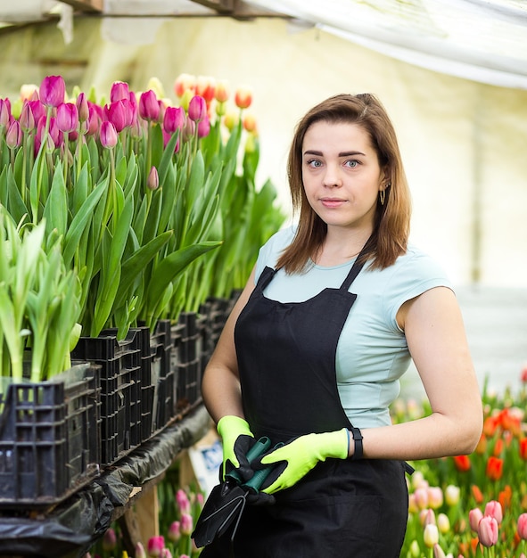 Bloemistenvrouw die met bloemen in een serre werkt Lente veel tulpenbloemenconceptIndustriële teelt van bloemenveel mooie gekleurde tulpen