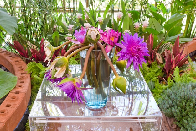 Bloemisterij Roze en paarse lotusbloemen in glazen vaas.
