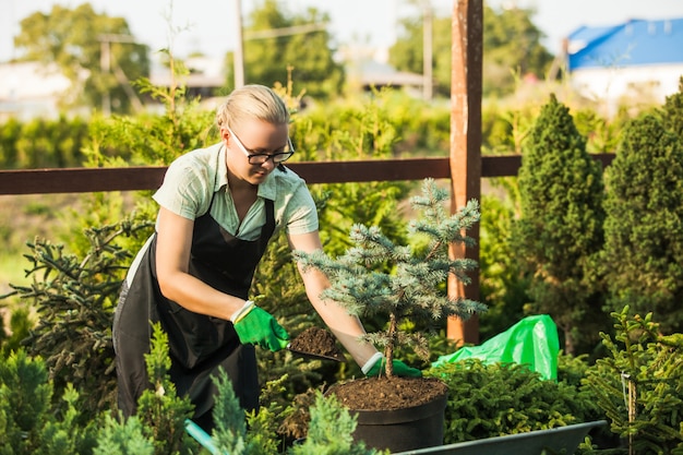 Bloemistvrouw aan het werk met zaailingen