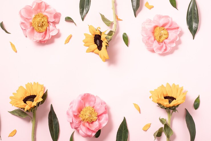 Bloemlay-out in vlakke stijl op pastelroze achtergrond. Minimale aard flatlay. Creatieve zomer plat lag en bovenaanzicht achtergrond.