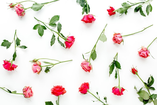 Bloemmotief gemaakt van rode rozen en eucalyptus takken op witte achtergrond valentines achtergrond f