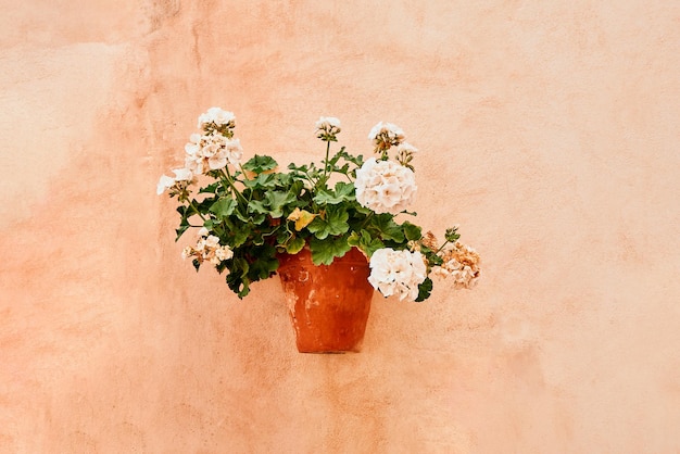 Bloempot hangend aan de muur