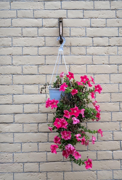 bloempot op een bakstenen muur