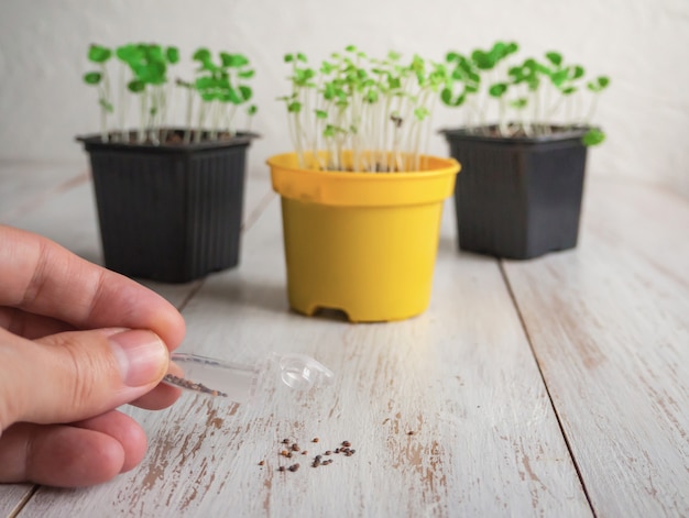 Bloempotten en hand met kleine zaadzak