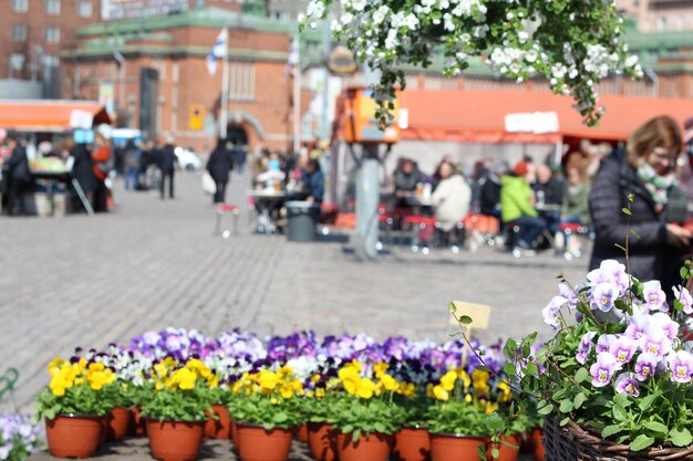 Bloempotten op de marktstand in hakaniemen tori