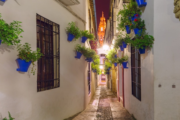 Bloemstraat Calleja de las Flores Cordoba, Spanje