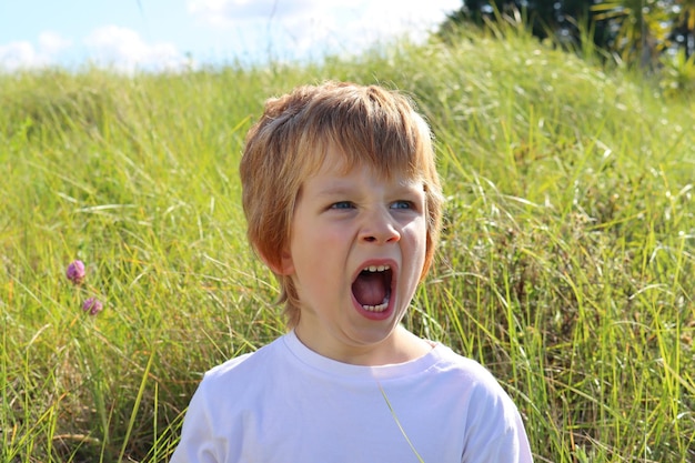 Photo a blond boy in a field with tall grass a five-year-old boy with a wide open mouth