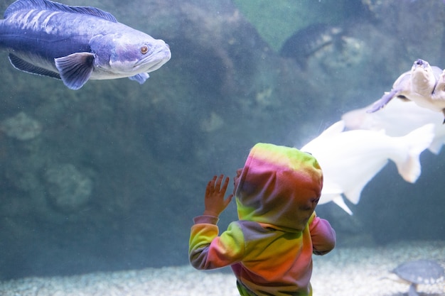 Blond meisje opgewonden in aquarium. Peuter kijkt naar vissen in het oceanarium. Vrijetijdsbesteding. Onder water