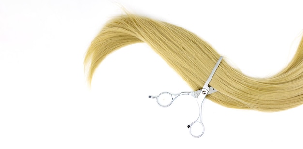 Blond shiny hair wave with Hairdresser scissors on white background Hair tools beauty and hairdressing concept