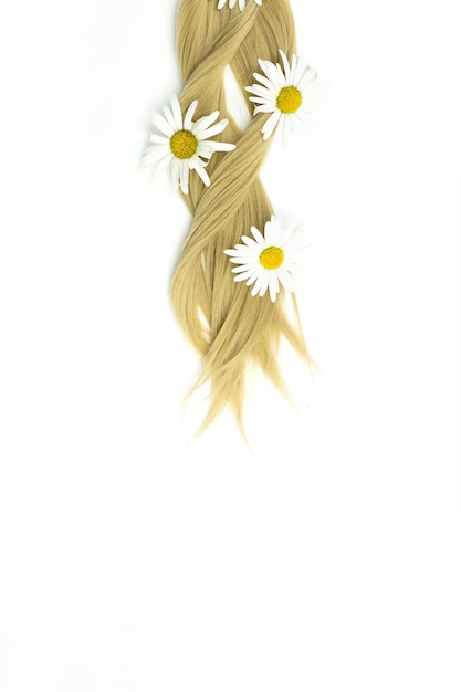 Blond wavy hair with chamomile flower on white background