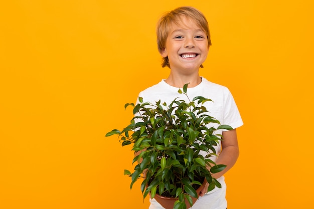 blonde Europese jongen met groene potplant op oranje muur