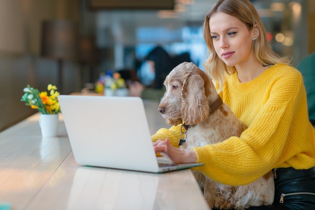 Blonde freelancer blogger in yellow sweatshirt using laptop in co working space and holding her cocker spaniel dog on her knees.